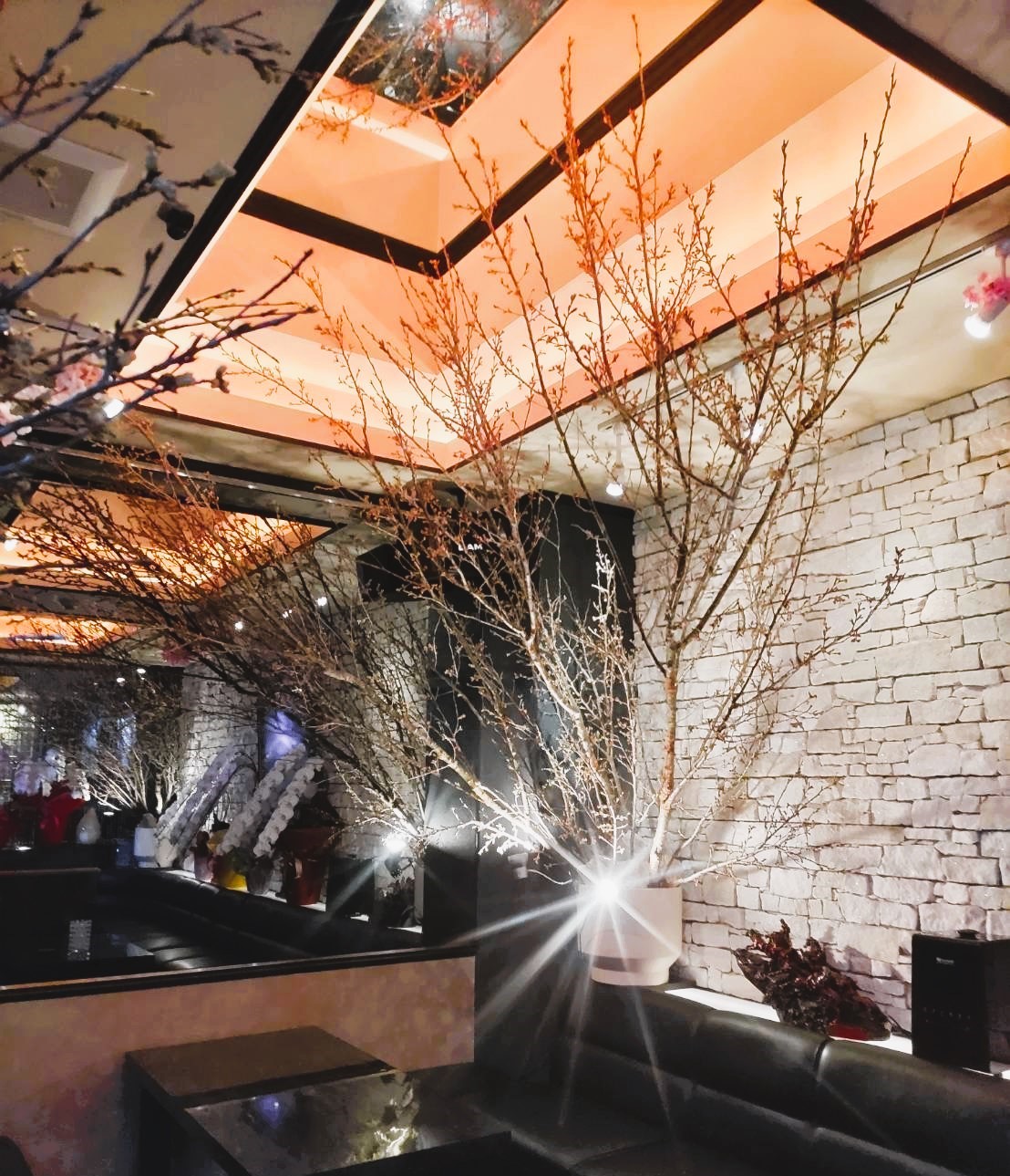 A symbolic tree of japan inside　スライダー画像