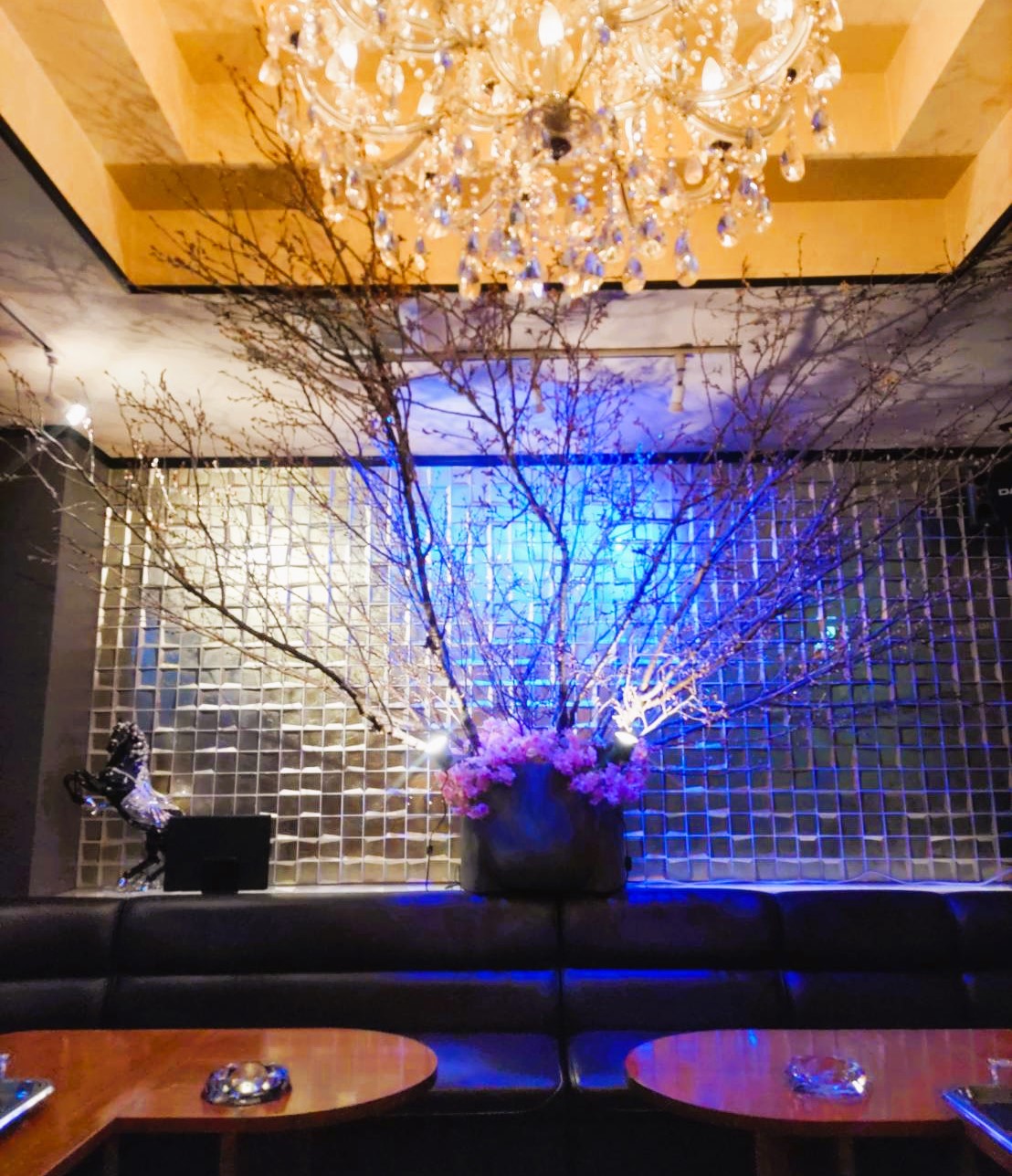 A symbolic tree of japan inside　スライダー画像
