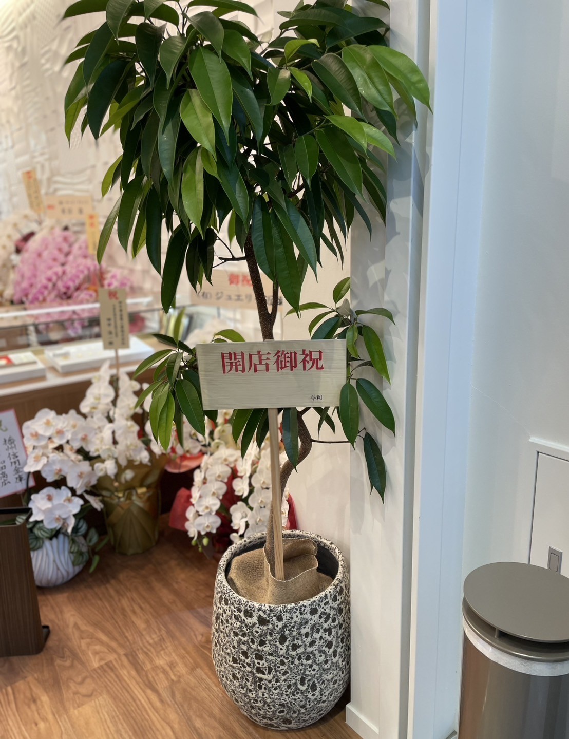 A plant for a store opening celebration　スライダー画像