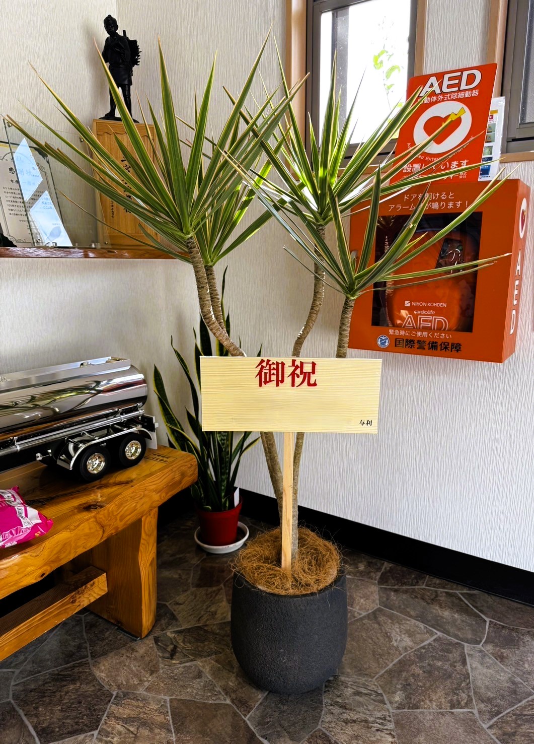 A Celebration plant　スライダー画像