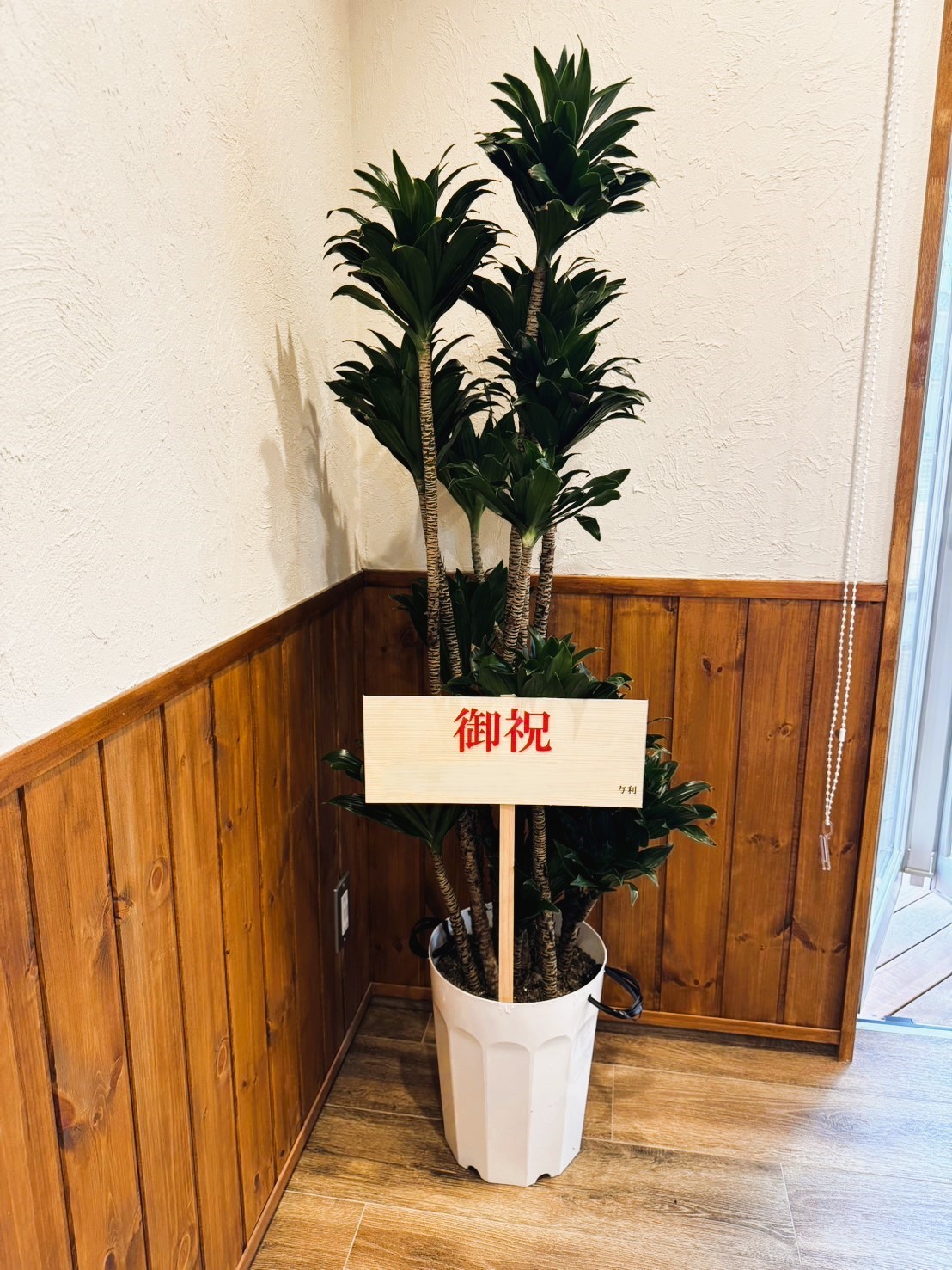 A plant gifted for a celebration　スライダー画像